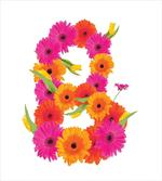 Summer Gerbera Daisies