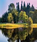 Country House in Woodland