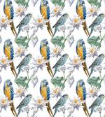 Tropical Flora Fauna