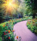 Keukenhof Netherlands