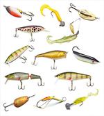 Hunting Sea Animals Theme