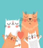 Kitty Couple Happy