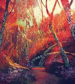 Autumn Fall Scenery