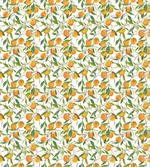 Orange Branch