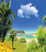 Paradise Palms Island