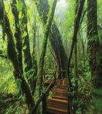 Entrance to Wilderness