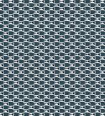 Pattern of Stripes and Fin