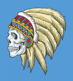 Skull with Feathers Folk