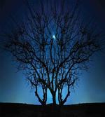 Night Moon Cosmos