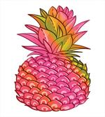 Tropical Organic Fruit