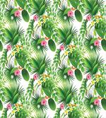 Tropical Paradise Nature