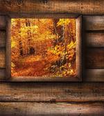 View from Rustic Cottage