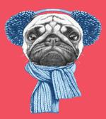 Winter Dog with Earmuffs