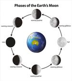 Celestial Rotation