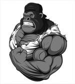 Animal Athlete Gorilla