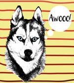 Husky Portrait