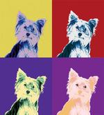 Colorful Portrait Vintage artwork
