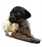 Small Dog and Chicken Love artwork