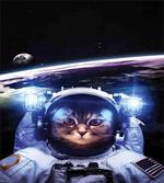 Funny Astronaut Cat Humor