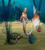 Mermaid Turtle Ocean