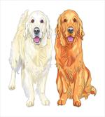 Smiling Dogs